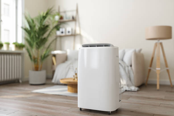 Best Air Filters and Purifiers in Newbern, TN